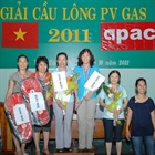 Giải “Cầu lông PV Gas mở rộng năm 2011”